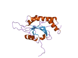 2hrf: Solution Structure of Cu(I) P174L HSco1