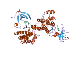 2hwp: Crystal structure of Src kinase domain in complex with covalent inhibitor PD168393