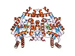 2hx2: Bovine eNOS heme domain complexed with (4S)-N-{4-Amino-5-[(2-aminoethyl)-hydroxyamino]-pentyl}-N'-nitroguanidine
