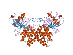 2i1y: Crystal structure of the phosphatase domain of human PTP IA-2