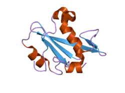 2iug: CRYSTAL STRUCTURE OF THE PI3-KINASE P85 N-TERMINAL SH2 DOMAIN