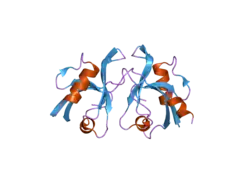 2iwp: 12TH PDZ DOMAIN OF MULTIPLE PDZ DOMAIN PROTEIN MPDZ (CASP TARGET)