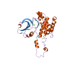 2j51: CRYSTAL STRUCTURE OF HUMAN STE20-LIKE KINASE BOUND TO 5-AMINO-3-((4-(AMINOSULFONYL)PHENYL)AMINO)-N-(2,6-DIFLUOROPHENYL)-1H-1,2,4-TRIAZOLE-1-CARBOTHIOAMIDE