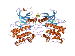 2j90: CRYSTAL STRUCTURE OF HUMAN ZIP KINASE IN COMPLEX WITH A TETRACYCLIC PYRIDONE INHIBITOR (PYRIDONE 6)