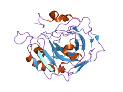 2nwy: Structural and kinetic effects of hydrophobic mutations on the active site of human carbonic anhydrase II