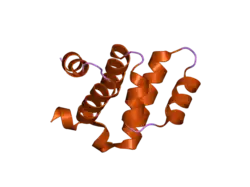 2o71: Crystal structure of RAIDD DD