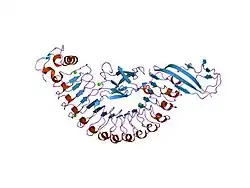 2omv: Crystal structure of InlA S192N Y369S/hEC1 complex