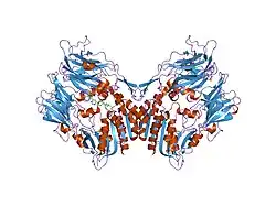 2oqv: Human Dipeptidyl Peptidase IV (DPP4) with piperidine-constrained phenethylamine