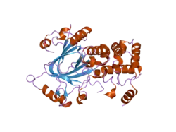 2yu2: Crystal structure of hJHDM1A without a-ketoglutarate