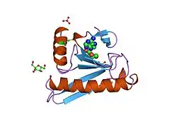 3fit: FHIT (FRAGILE HISTIDINE TRIAD PROTEIN) IN COMPLEX WITH ADENOSINE/SULFATE AMP ANALOG