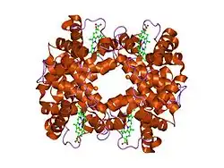 3hhb: THE CRYSTAL STRUCTURE OF HUMAN DEOXYHAEMOGLOBIN AT 1.74 ANGSTROMS RESOLUTION
