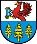 Coat of arms of Gmina Brusy