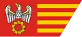 Flag of Piła County