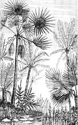 Image 51Palms and cycads as they might have appeared in the middle Tertiary (from Tree)