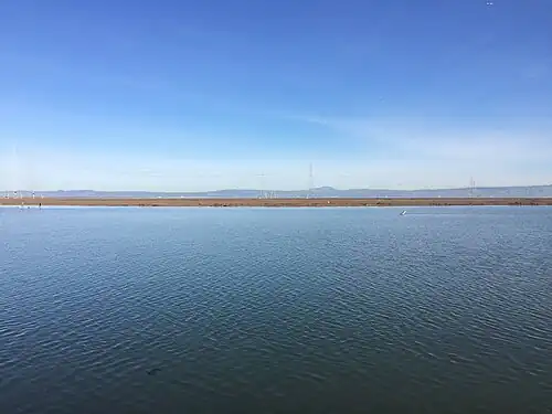 Marshland above high tide