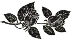 The remains of President Masaryk were transported by funeral train decorated with linden leaves from the Wilson Station to Lány.