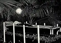 The remains of President Masaryk in Lány Castle before the funeral.