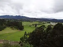 Nemocón in Savanna Province