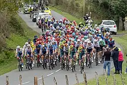 The peloton during stage 2