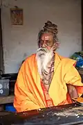A sadhu at Bhadrachalam on the eve of Ram Navami