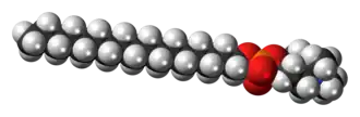 Space-filling model of the perifosine zwitterion