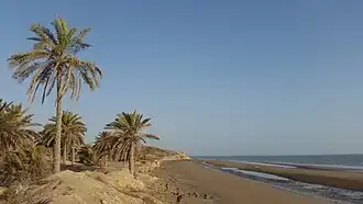 Persian Gulf coastline at Emam Hasan