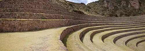 View of the curved terraces
