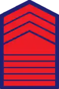 Police Chief master sergeant (P/CMSg) insignia, Philippine National Police