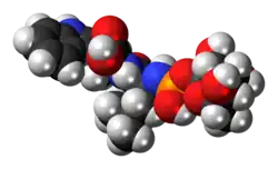 Space-filling model of the phosphoramidon molecule