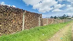 Piles of chopped dry ecalyptus wood in near Igara Secondary school near Butare town in Bushenyi district in Western Uganda