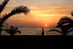 A sunset over the water, with the silhouettes of palm trees and the beach in the foreground.