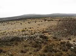 Landscape near Belej