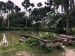 Estate pond