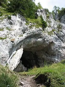 The entrance to the Potočka Zijalka, a cave in the Eastern Karavanke, where the remains of a human residence dated to the Aurignacian (40,000 to 30,000 BP) were found[40]