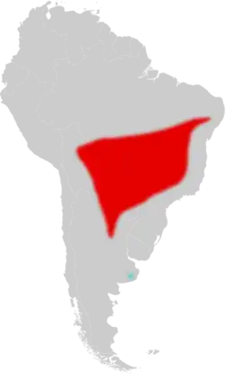 Map of South America, with a contiguous red area extending over northeastern Argentina, much of Paraguay, and eastern Bolivia, east into northeastern Brazil; and a small blue area in eastern Argentina
