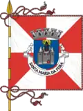 Flag of Santa Maria da Feira
