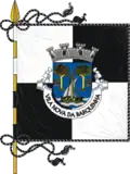 Flag of Vila Nova da Barquinha