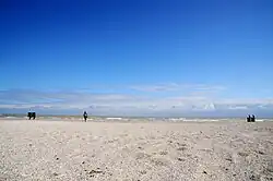 Nazar Bilyk&nbsp;[uk]. "Quotation mark." Metal. 2014.