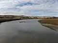 Red Deer River north of emerald shiner Jenner, Alberta[11][12]