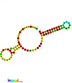isrJ Hfq binding RNA: Predicted secondary structure taken from the Rfam database. Family RF01393.