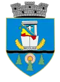Coat of arms of Beiuș