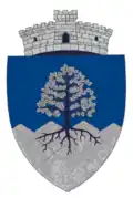 Coat of arms of Telciu