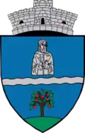 Coat of arms of Bumbești-Pițic