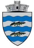 Coat of arms of Izvoarele