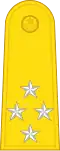 Air Chief Marshal
