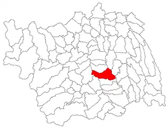 Location in Bacău County