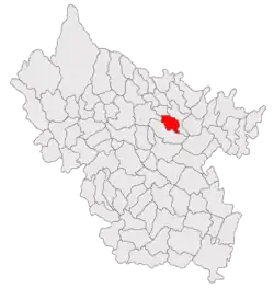 Location in Buzău County