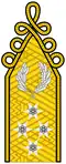 Hungarian Defence Forces colonel general rank insignia