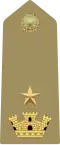 Maggiore (Italian Army)[42]