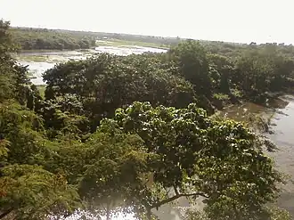 View of Rasik Bil lake